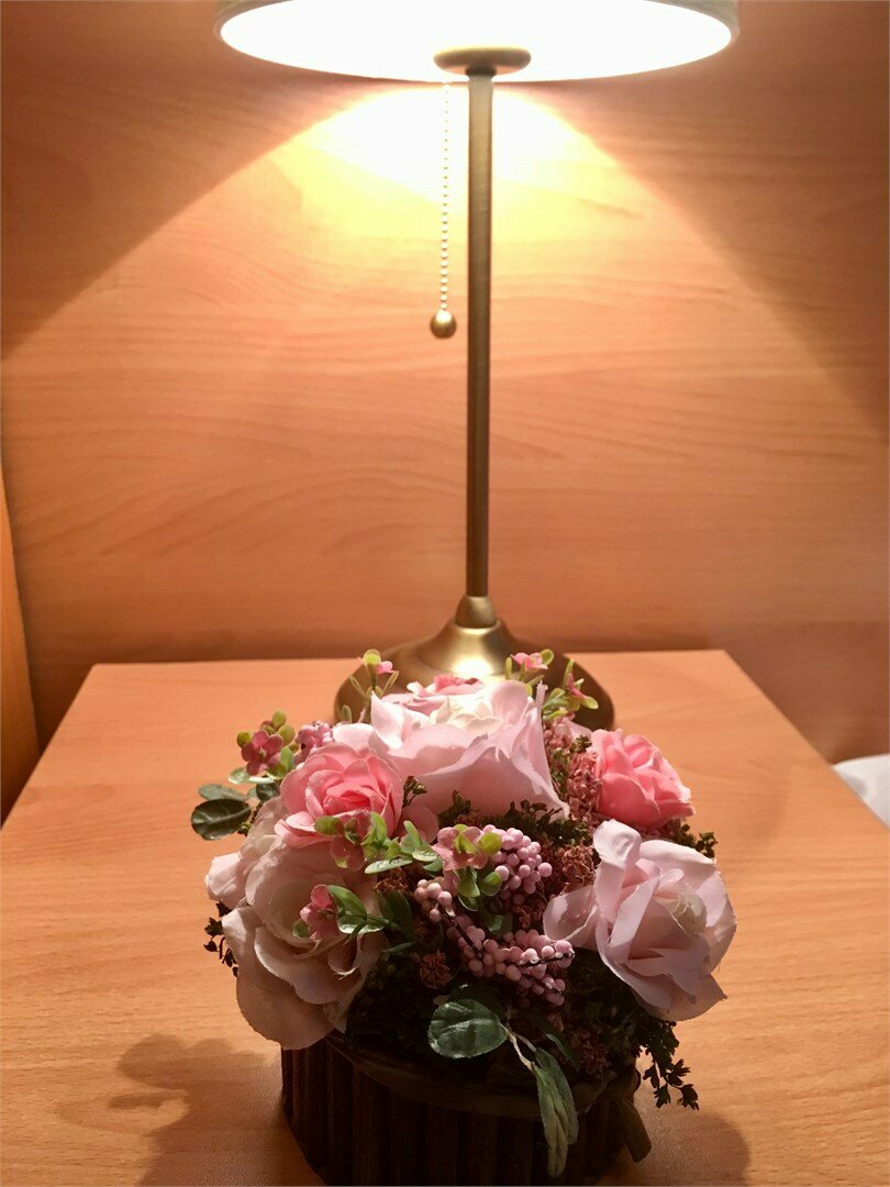 Гостиница Звездный Санкт-Петербург